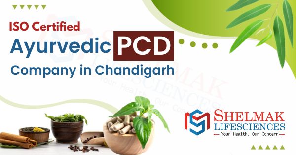 Top #1 Ayurvedic Pcd Company in Chandigarh, Get Herbal Pcd Franchise in Chandigarh