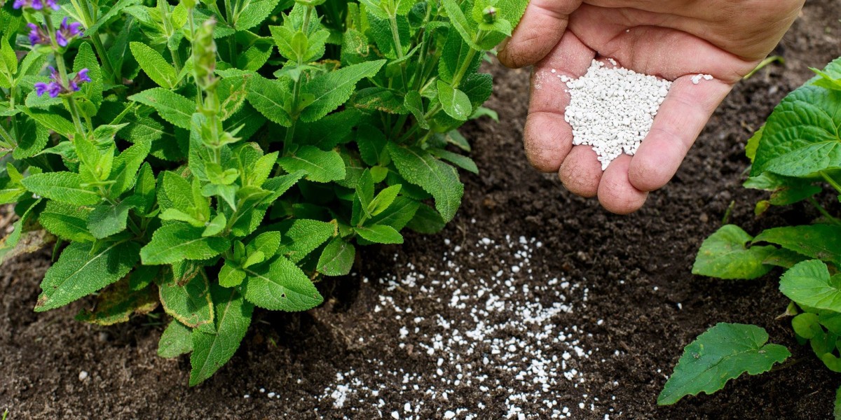 Plant Fertilizer: The Green Thumb's Secret to Blooming Success