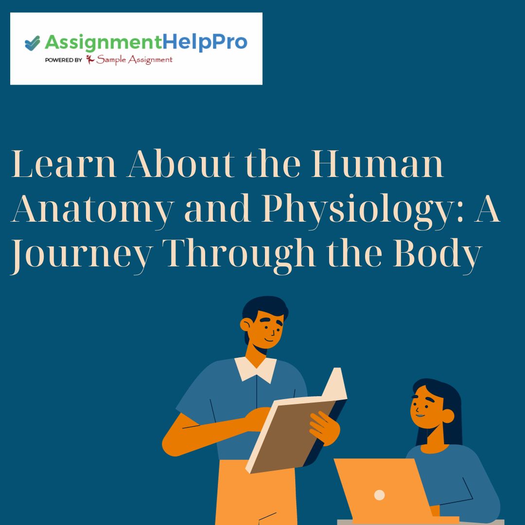 Learn About The Human Anatomy And Physiology: A Journey Through The Body - TIMES OF RISING
