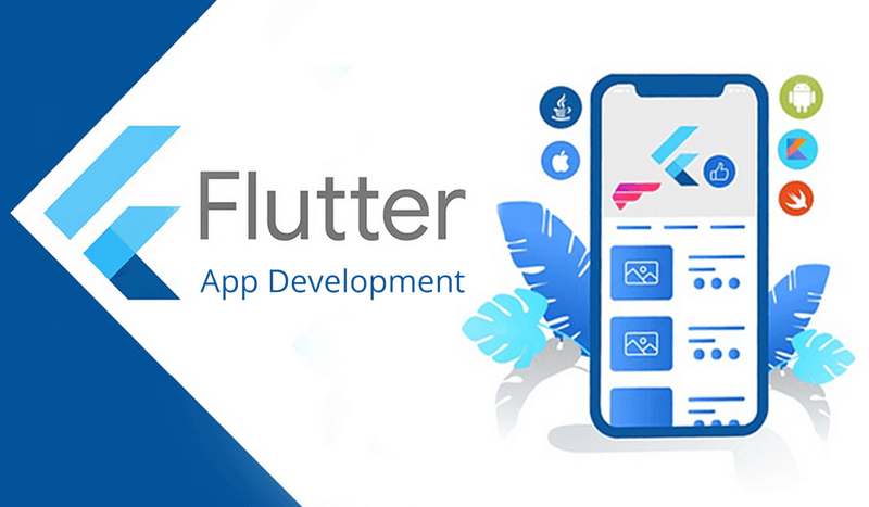 Why Use Flutter: Everything You Need to Know About Flutter App Development | NancyWeb