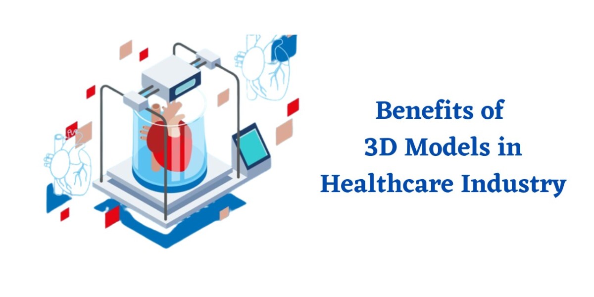 Importance of 3D Models in Healthcare
