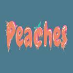 Peaches Entertainment Australia Profile Picture