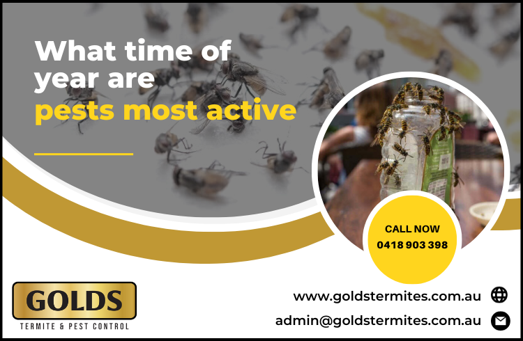 What time of year are pests most active?