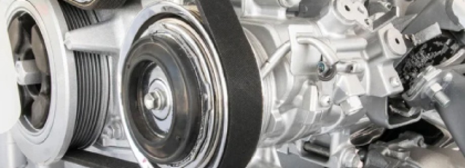 Ajanta Belts Cover Image