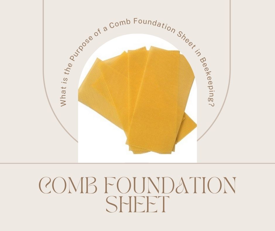 The Essential Role of Comb Foundation Sheets in Beekeeping