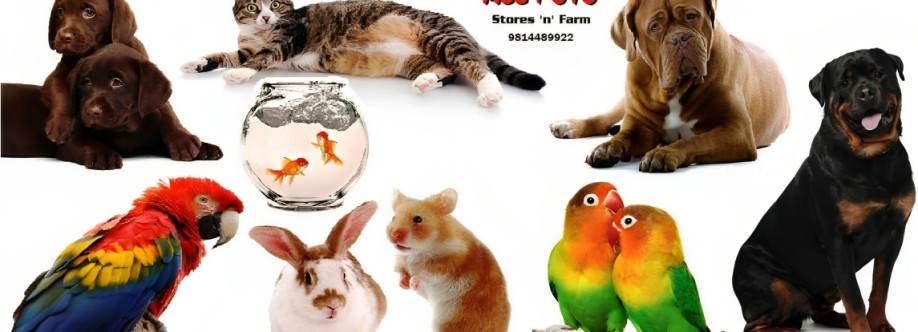 All pets Cover Image