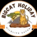 bigcat holiday Profile Picture
