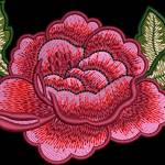 Embroidery digitizing Profile Picture