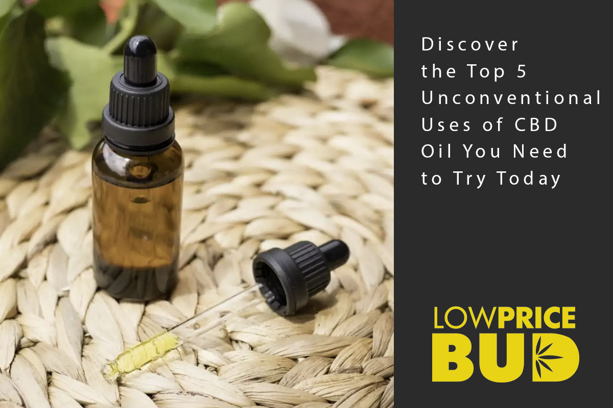 Discover the Top 5 Unconventional Uses of CBD Oil You Need to Try Today - Low Price Bud