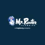 Mr Rooter Plumbing of Dallas Profile Picture