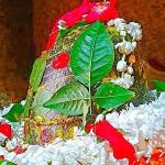 Markandey Mahadev Kaithi Profile Picture