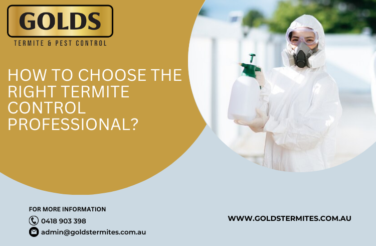 How to Choose the Right Termite Control Professional?