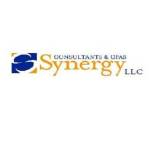 Synergy Consultants and CPAs LLC Profile Picture