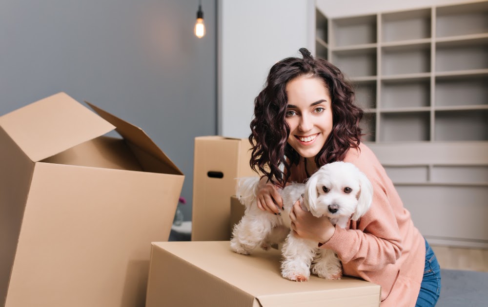 Now Moving With a Pet is Easy with The Best Pet Relocation Services