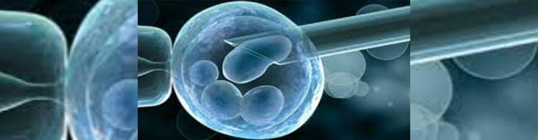 Discover Excellence in Pre-implantation Genetic Diagnosis (PGD/PGS) with IVF in India