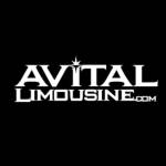 AVITAL CHICAGO PARTY BUS AND LIMOUSINE profile picture