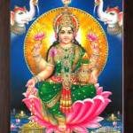 statham patel Profile Picture