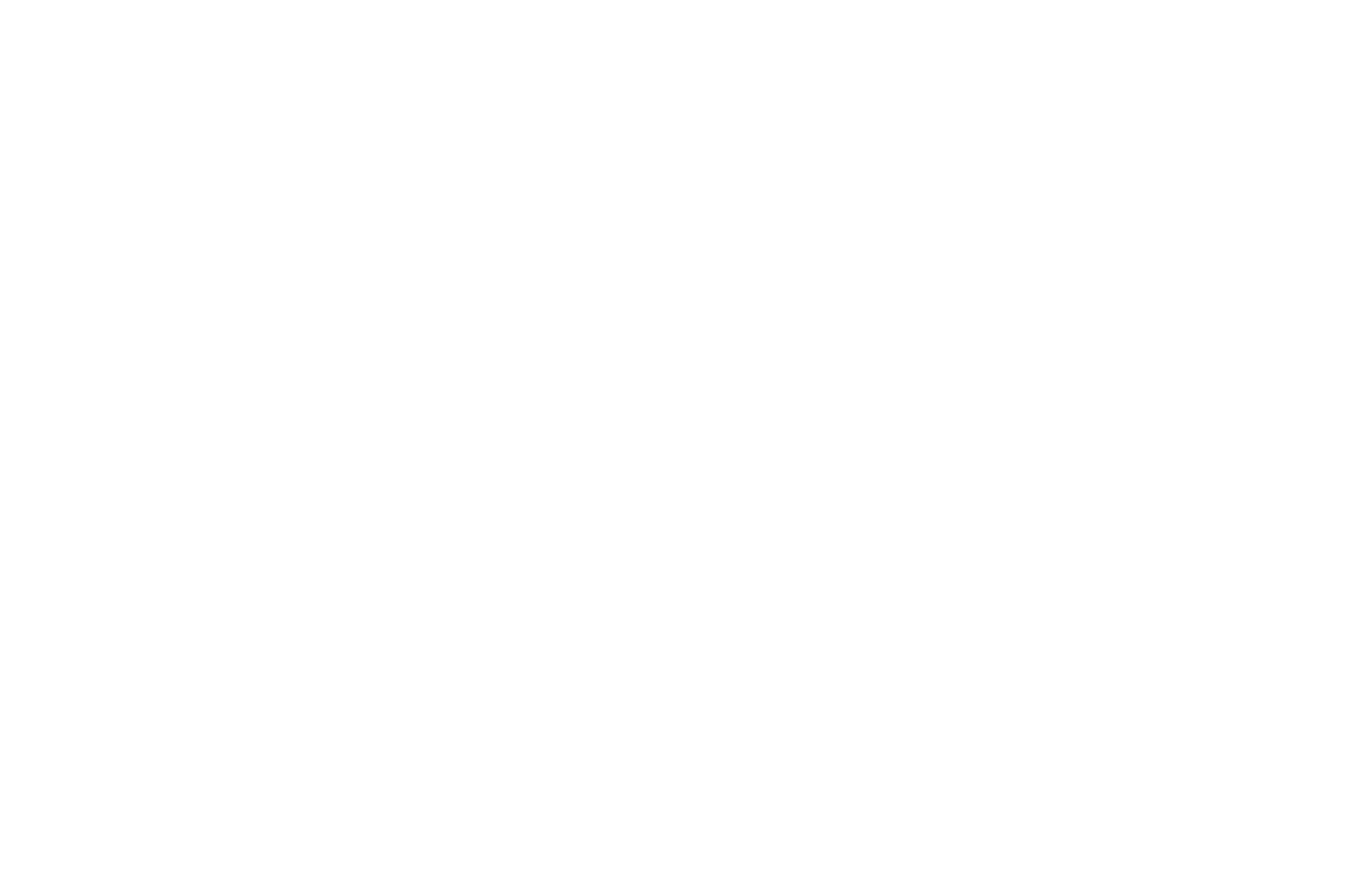 Same Day Delivery - AI Courier