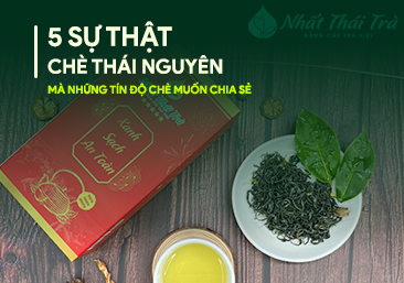 5 Sự thật chè Thái Nguyên mà những tín độ chè muốn chia sẻ