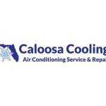 Caloosa Cooling Lee County LLC profile picture