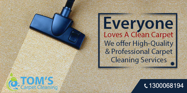 Carpet Cleaning Berwick | Toms Carpet Cleaning