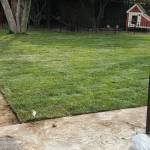 rototiller guy Profile Picture