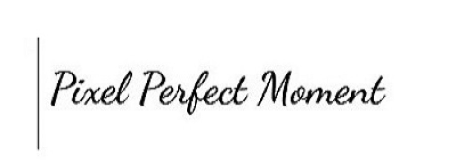 Pixel Perfect Moment Cover Image