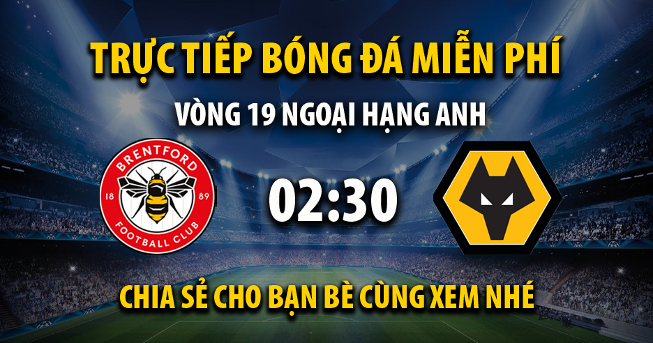 Link trực tiếp Brentford vs Wolves 02:30, ngày 28/12 - Xoilac365.ai