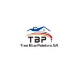 True Blue Painters Profile Picture
