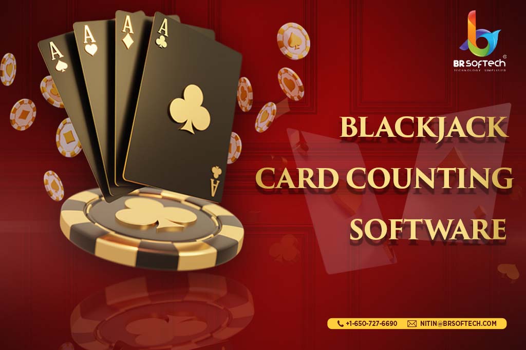 Blackjack Card Counting Software - BR Softech