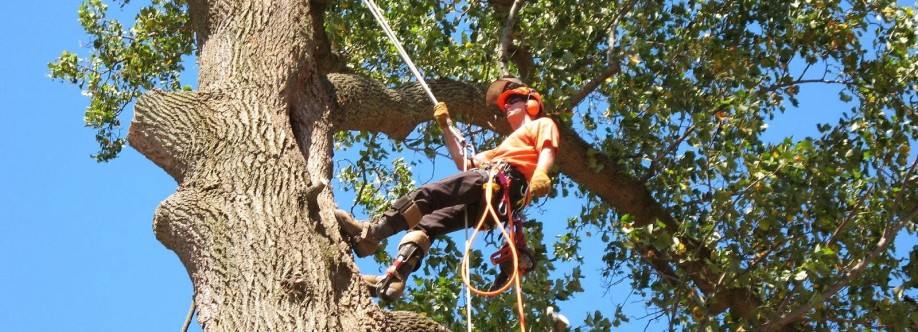 Sydney Urban Tree Services Cover Image