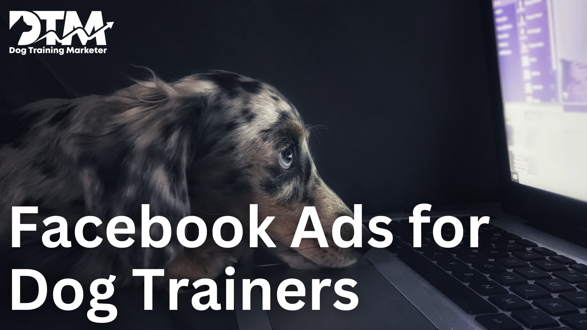 Best Guide Facebook Ads for Dog Trainers | DTM Marketer