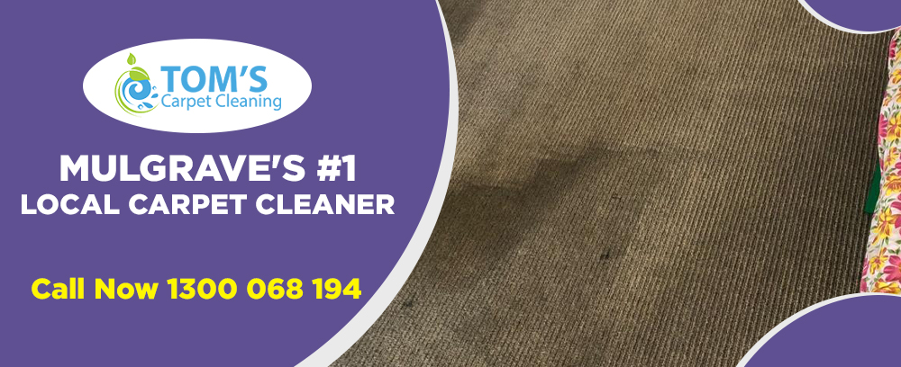 Carpet Cleaning Mulgrave | Carpet Rug Cleaners