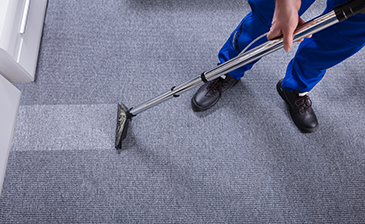 Here’s the Quickest and Easiest Way to Clean Carpet from Pet Urine – Site Title