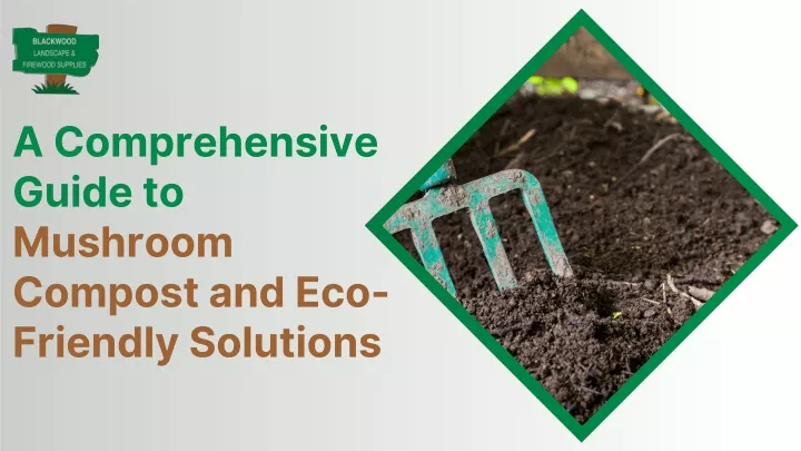 PPT - A Comprehensive Guide to Mushroom Compost and Eco-Friendly Solutions PowerPoint Presentation - ID:12706025