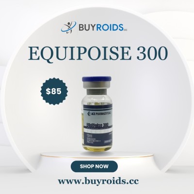 Equipoise 300 Profile Picture