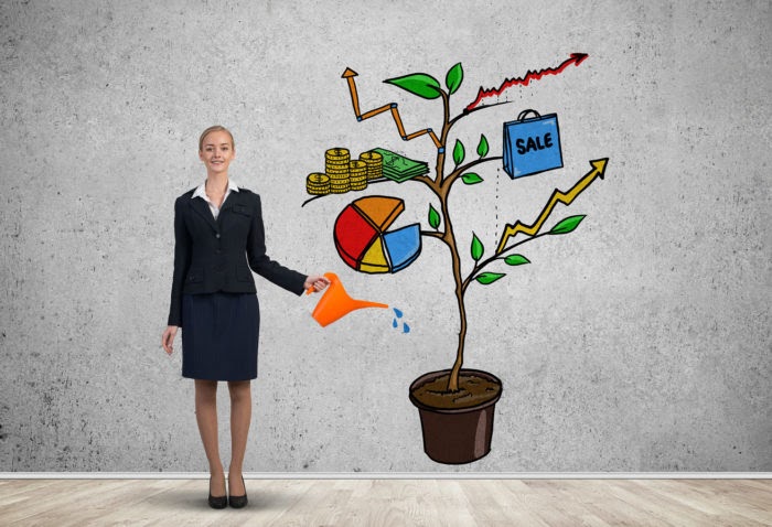 Beyond Boundaries: Kitsap Small Business Online Brilliance!