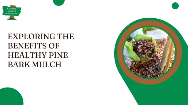 Exploring the Benefits of Healthy Pine Bark Mulch.pdf