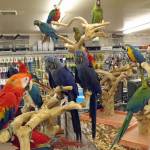 hamza Hamza Profile Picture