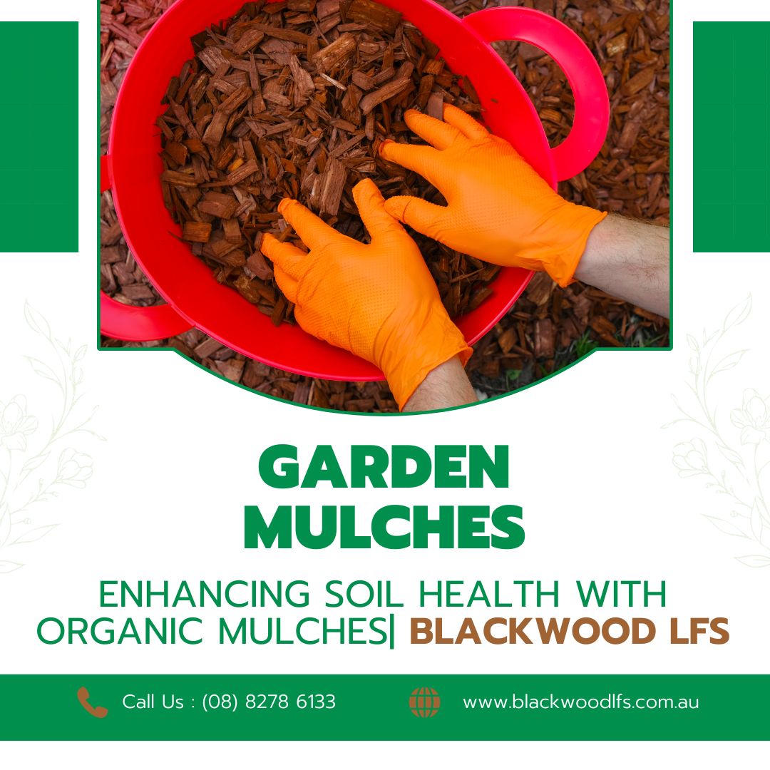 Enhancing Gardens with the Power of Mulches hosted at ImgBB — ImgBB