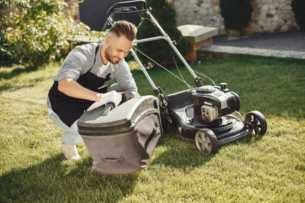 Expert Lawn Care Services in Adelaide | All Equipment Hire