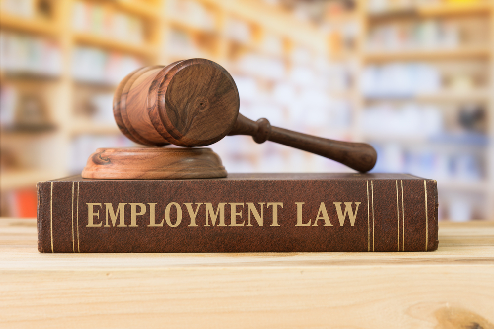 Employment Law in Chandigarh: Safeguarding Workplace Rights and Responsibilities - SL LEGAL SERVICES
