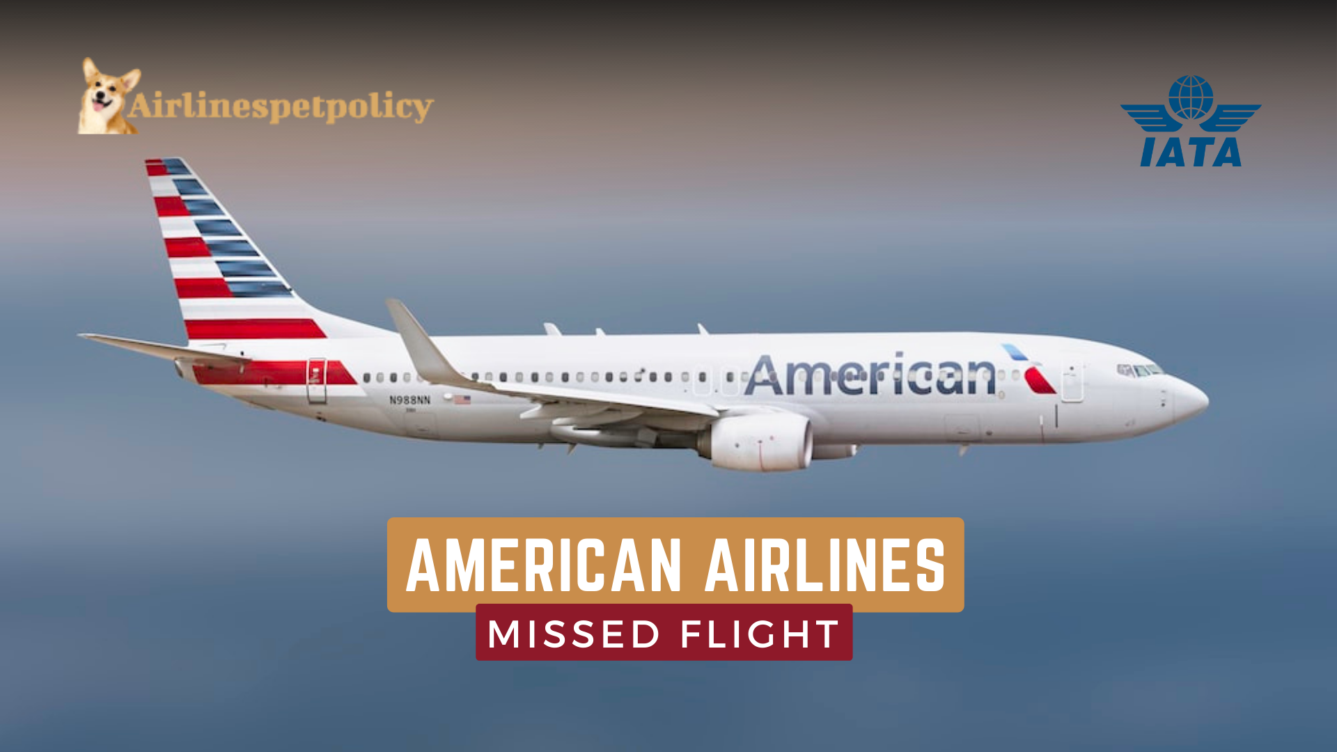 American Airlines Missed Flight | Policy | Rebook | Refund | Fee