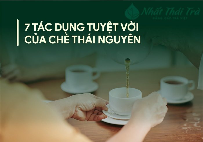 7 tác dụng tuyệt vời của chè thái nguyên | Nhất Thái Trà