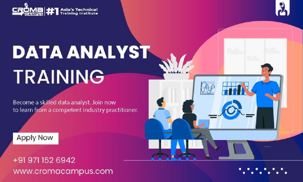 A Comprehensive Overview of the Data Analyst Role
