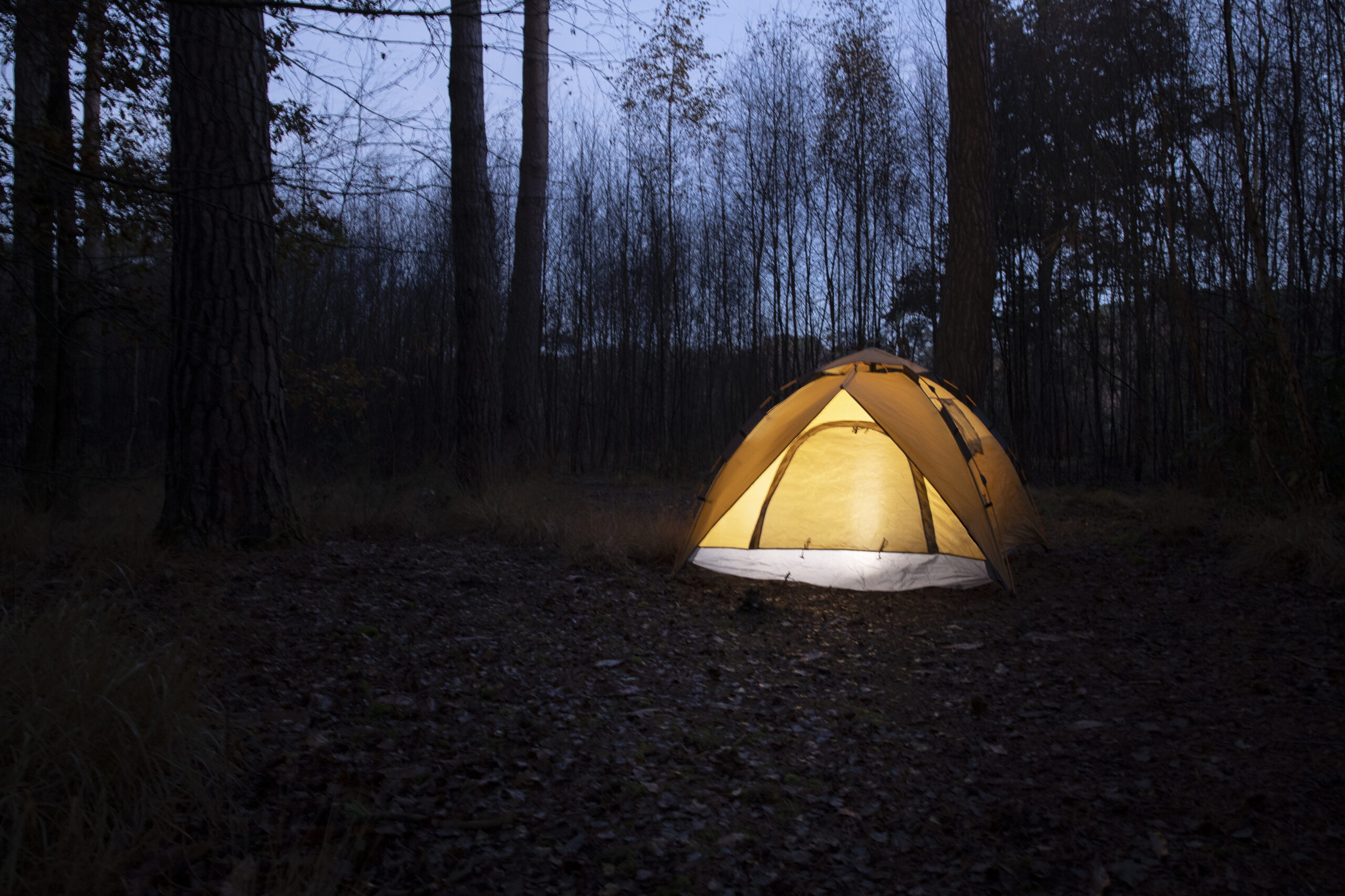 Campout 101: A Beginner's Guide to Outdoor Adventures - Today Business Posts