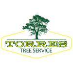 Torres Tree Profile Picture