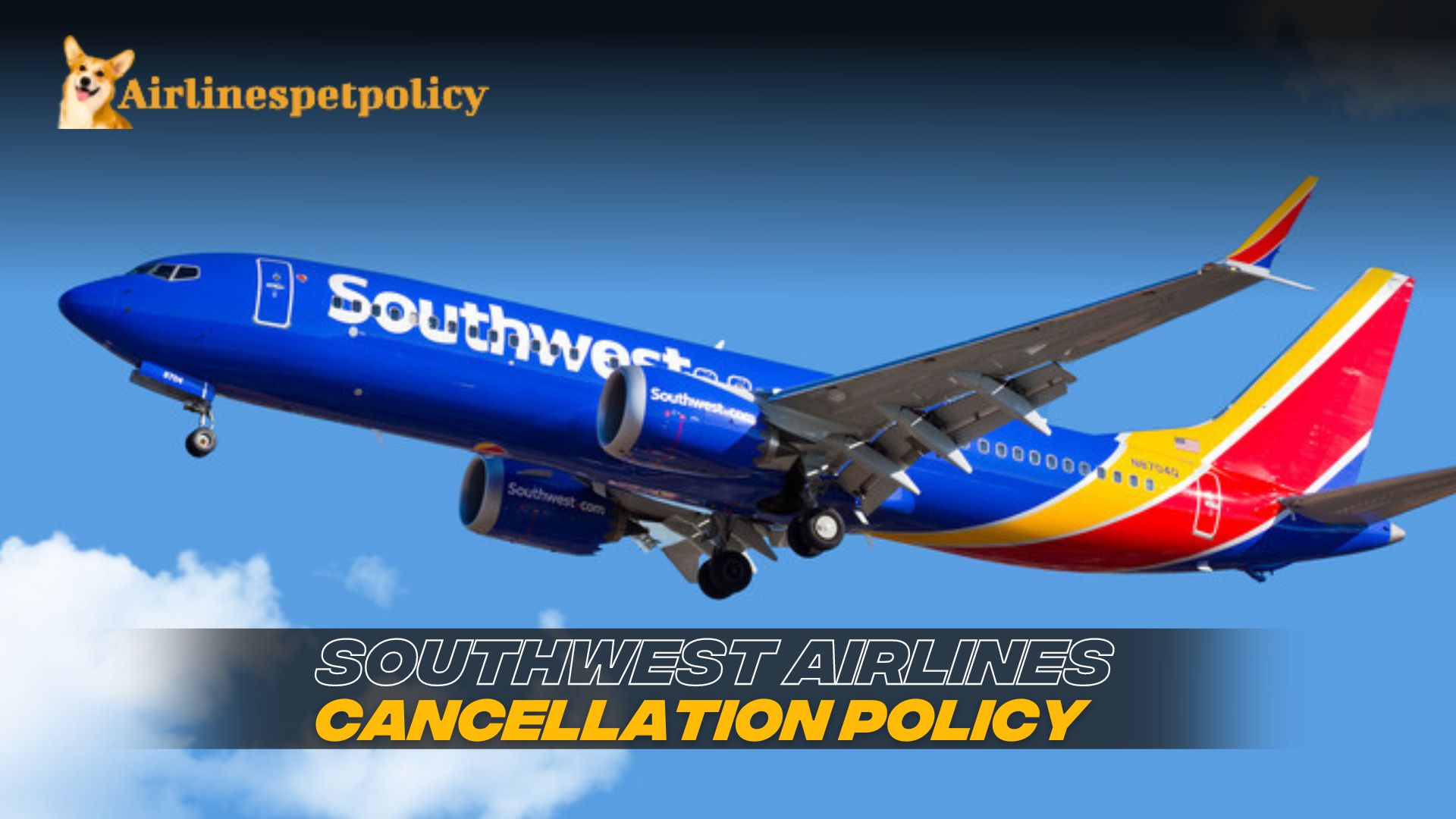 Southwest Cancellation Policy | 24 hour | Refund Policy