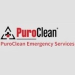 PuroClean Emergency Services Profile Picture