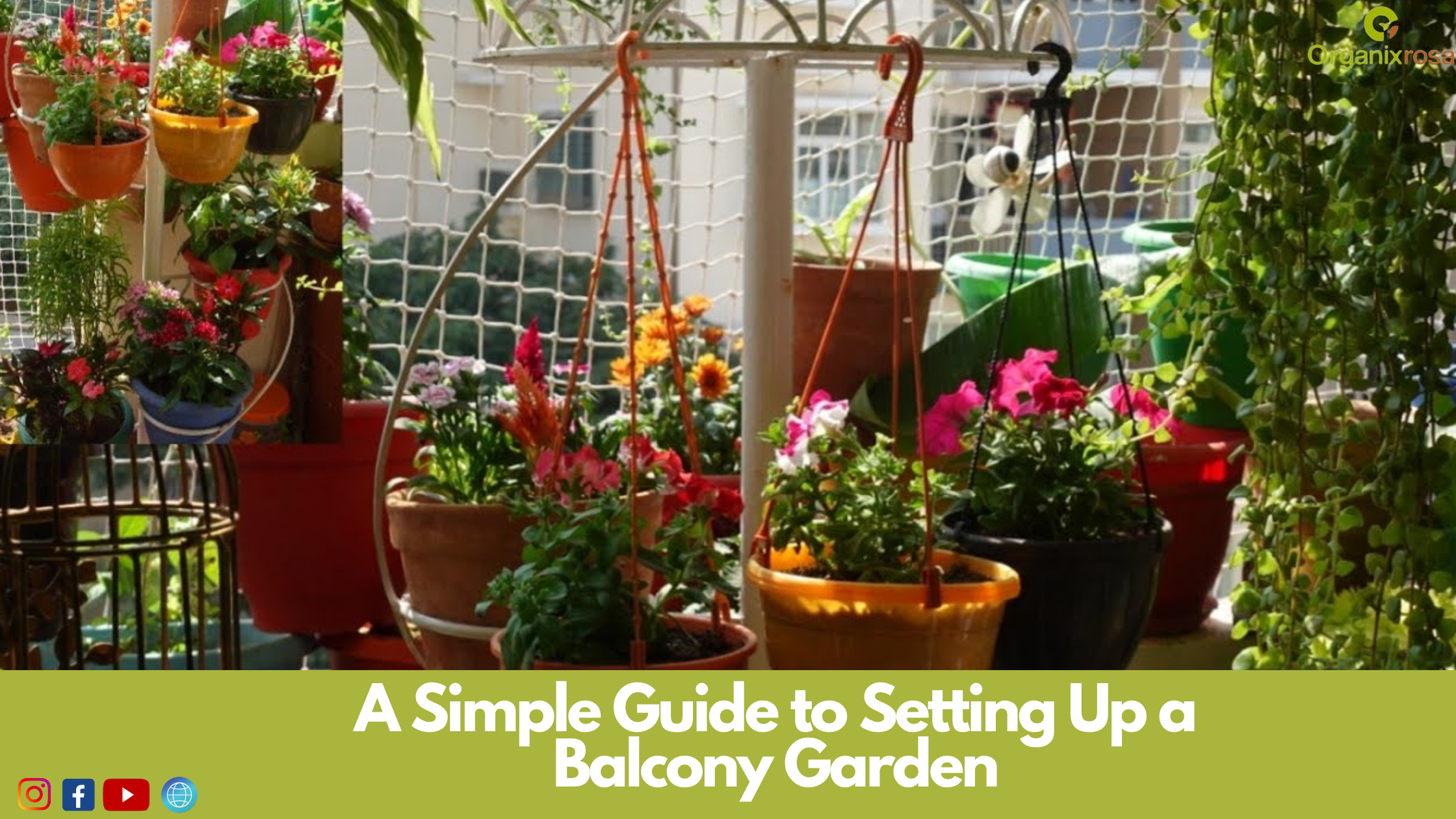 A Simple Guide to Setting Up a Balcony Garden  – Organixrosa